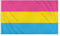 Henbrandt Pansexual Gay Pride LGBTQ+ Drapeau 1,5 x 0,9 m Grand drapeau Pan Pride