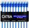 Rapink Patch Cables Cat6a 0.5ft (10 Pack) Slim, Cat6a Ethernet Patch Cable 10G Support, Snagless Cat 6 Patch Cable for Patch Panel to Switch, Flexiable Cat 6a Ethernet Cable with Gold Plated