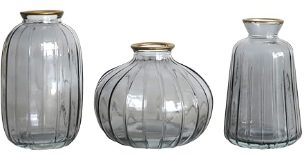 The Urban Gardener Lot de 3 vases en Verre Gris fumé avec Bordure dorée