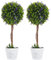 HOMCOM Set 2 Piante Finte da Interno e Esterno, Piante Artificiali a Sfera con Fiori di Lavanda e Vaso con Muschio e Cemento Incluso, Piante Verdi Decorative in PE e PP, Ø24x60 cm