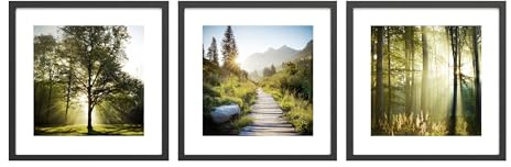 STYLER Bilder Set Sunny Woods 3x 30x30 cm (AUFHÄNGFERTIG) mit hochwertigem schwarzen Holzrahmen – Sonnendurchflutete Waldlandschaft für Ihr Zuhause – Grün Natur Minimalistisch Wald