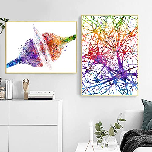 SYXBEIVK Neurowissenschaften Neurologie Medizinische Biologie Geschenk Synapse Rezeptor Gehirn Nervenzelle Wissenschaft Kunstdrucke Anatomie Poster Leinwand Malerei-40x60cmx2Pcs(Kein Rahmen)