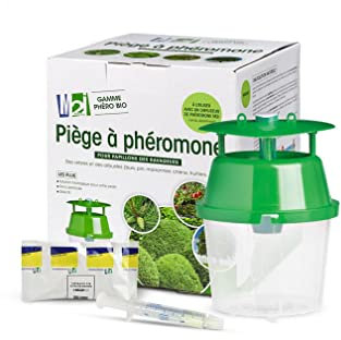 Achat nature Trap Kit + Pheromone Boxwood Moth