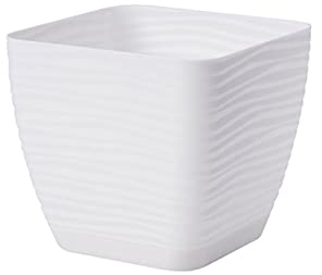 Acan Tradineur - Maceta Cuadrada con Plato - Diseño Sahara (15 cm) - Fabricado en plástico - Ideal para jardín Exterior, terraza o balcón - Color Blanco