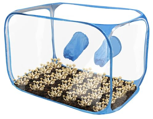 Still Air Box für Mushroom | Pilzpflanzzelt-Vermehrungsstationen, Pilzzuchtbeutel, Gartenbaubedarf, Zuchtbehälter, Pop-up-Design für Pilzliebhaber
