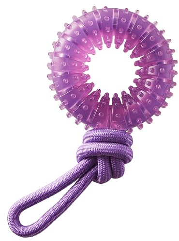 Pupstages Dental Chew Wheel Dog Toy – Ring & Rope Tug, Multi-Textured, Soft on Teeth, Moderate Chewers, Mint Scented, 9