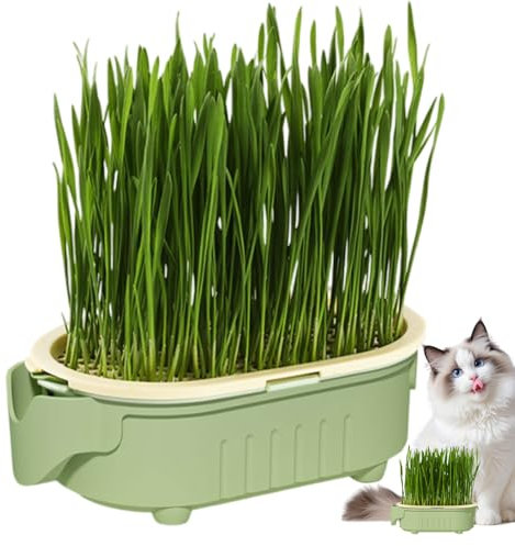 Pot d' à chat hydroponique | Pot de plantation hydroponique d'intérieur – Convient aux débutants – Solution d'arrosage sans terre pour jardin, balcon