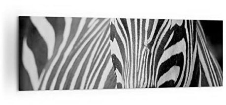 Panorama Bilder auf Leinwand 160x50cm Leinwandbild Tiere Zebra gestreift Groß XXL Wanddeko Bild Schlafzimmer Küche Wandbilder Dekoration Wohnzimmer Wall Decor Canvas Wand Kunstdruck Art AB160x50-2254