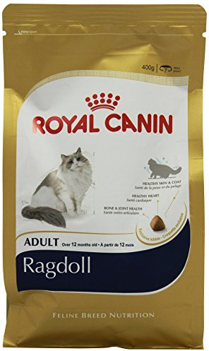 Royal Canin Katzenfutter Ragdoll 400 g, 2er Pack (2 x 400 g)