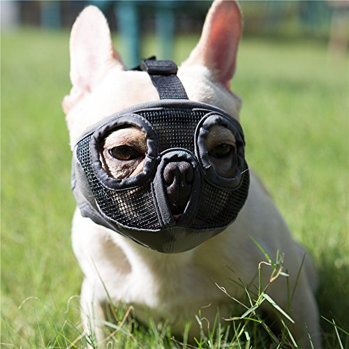 Short Snout Dog Muzzles- Bulldog Muzzle Breathable Mesh Dog Mask for Biting Chewing Training Licking Grooming (Grey, XLarge(46-64cm))