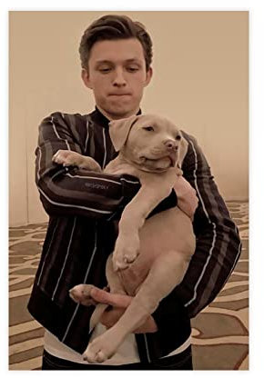 Schauspieler Tom Holland 15 Leinwand-Poster, Schlafzimmerdekoration, Sport, Landschaft, Büro, Raumdekoration, Geschenk, ohne Rahmen, 30 x 45 cm