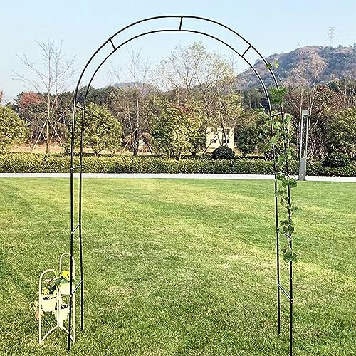 Large Metal Garden Arch For Climbing Plant Wide 1.4m 1.6m 1.8m 2.4m 2.8m 3m 3.5m Sturdy Durable Rose Archway Weather-Resistant Iron Tubular Pergola Trellis Color : Black,W200*230cm