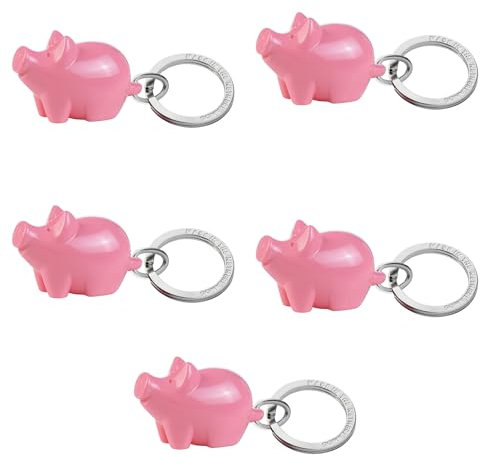 Djois - PORTE-CLÉS - BABY COCHON Rose - Anneaux chromés plats - 5 PORTE-CLÉS - Plastique RECYCLÉ Acrylique - Rose - Fabriqué aux Pays-Bas