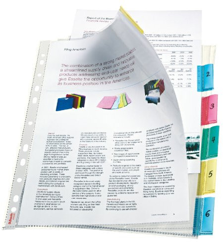 Esselte Hüllenregister mit 6 Taben, farblich sortiert