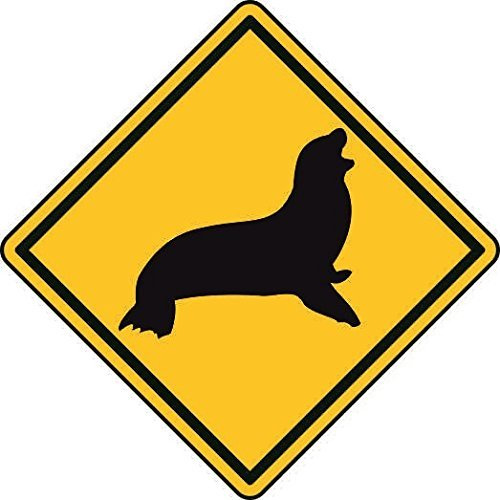U24 Aufkleber Vorsicht Seehund Autoaufkleber Sticker