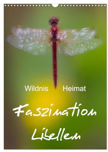 Faszination Libellen - Wildnis Heimat (Wandkalender 2026 DIN A3 hoch), CALVENDO Monatskalender: Makrofotografie der Extraklasse (CALVENDO Tiere)