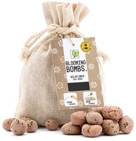 Wildflower Seed Bombs UK, 100g Bag Covers 25 sq ft, Mix of 16 Native Varieties, Gardening Gift for Women, Eco Friendly and Easy to Grow