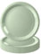 16Pcs Sage Green Party Paper Plates 9 inch,Sage Green Party Tableware Decor SageGreen Paper Plate SageGreen Plates for Kids Sage·Green PartySupplies Table Decorations