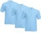 Fruit of the Loom Men's 63-402-0 Polo Shirt, Pastel Blue, L (Pack of 3)