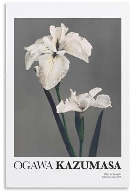 KVIINKD Poster mit weißer Iris Kæmpferi von Ogawa Kazumasa, Wohnzimmer-Dekor, moderne ästhetische Wandkunst, Poster, Geschenk für Freunde, ungerahmt, 20 x 30 cm