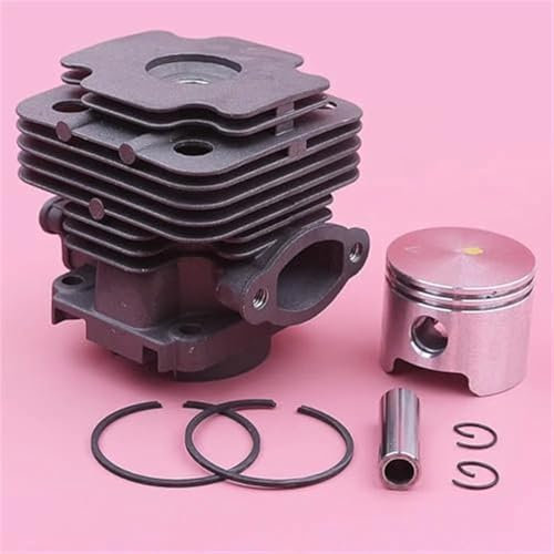 QASULER Kit anelli elastici perno anello pistone cilindro da 45 mm OLEO-MAC 753 753T, for EFCO, sostituzione motoseghe 8530 61112035B, 6111 2035B Ricambi per carburatori