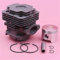 QASULER Kit anelli elastici perno anello pistone cilindro da 45 mm OLEO-MAC 753 753T, for EFCO, sostituzione motoseghe 8530 61112035B, 6111 2035B Ricambi per carburatori