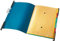 Leitz 18900035 Ordnungshängemappe Divide it Up, 6 Fächer, Colorspankarton, blau