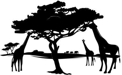 PrimeStick Wandtattoo Wandaufkleber Afrika Wüste Giraffen #85b braun 150x 80cm