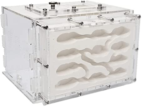 Kreatives DIY-Ameisenfarm-Set, DIY-Ameisenschloss aus Gips mit Futterbereich, nährende Ökologie, Ameisenfarm, leicht zu beobachtendes Ameisenexperiment, Ameisennestfarm (Color : Extra Large-a, Size