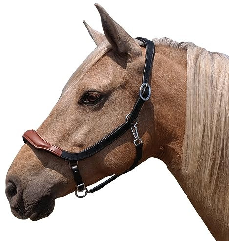 Brama West Pferderhalfter Leder Halfter Atlanta anatomisch 2-Fach verstellbar, Gr. Cob