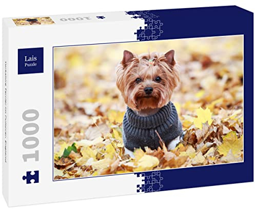 Lais Puzzle Yorkshire Terrier in jumper, England 1000 pieces