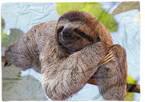Eau Zone Handtuch Strandhandtuch Saunatuch Kuscheldecke mit Tiermotiv Faultier hält SCHL Größe 100 x 50 cm