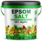 Epsom Salt Bucket for Plants, 49% MgSO4, Magnesium Cure for Yellow Leaves, Ready-to-Use Granules Garden Plant Growth, Lawn Care Magnesium Sulphate Fertiliser by Pure Source Nutrition (10KG)