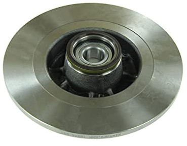 Delphi BG9030RS Brake Disc