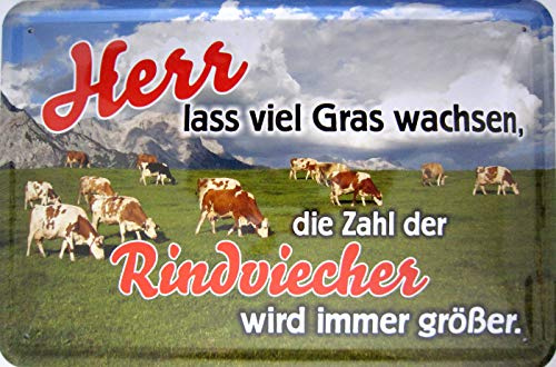 Blechschild Schild 20x30cm - Herr lass viel Gras wachsen die Zahl der Rindviecher wird immer größer Spruch lustig Fun