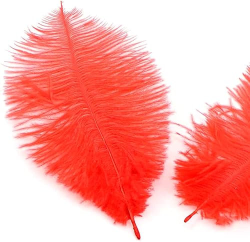 Duories 10 Stück 15-20cm Natürliche Straußenfedern,Strauß Feder zum Basteln,Bastel Federn für DIY Traumfänger Zubehör,Heimdekoration,KostüMe,Tischdeko Hochzeit Party Fest Hüte Kleidung Dekoration,Rot