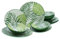 CreaTable, 25860, Serie TROPICANA, 12-teiliges Geschirrset, Teller Set aus Steinzeug, spülmaschinen- und mikrowellengeeignet, Qualitätsproduktion