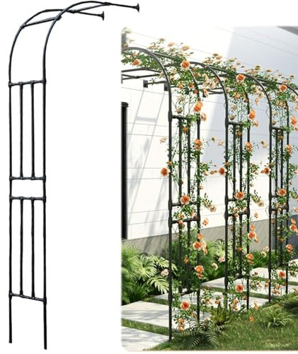 frides Rankhilfe Halbbogen aus Metall, Rankhilfe Halbbogen Verzinkt RosenHalbbogen, Hochzeit Spalier Torbogen Hochbeet Rosenreben Kletterstütze für Hinterhof Terrasse im Freien(60x240x40cm)