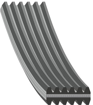 febi bilstein 40712 Auxiliary Belt, pack of one | Compatible with: BMW 1, 1, 1 Cabriolet, 1 Coupe, 3, 3 Cabriolet, 3 Coupe, 3 Touring, 5, 5 Touring, X1, X3