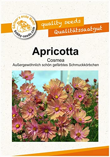 Blumensamen Apricotta Cosmee Portion