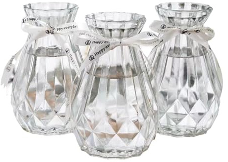Soulnioi Klara glasvaser för blommor med sidenrep, hyacintus-vas/hydroponisk vas, klar blomvas för heminredning, växtglas för blomma, skrivbordsplanta, glasvas, för vardagsrum, sovrum