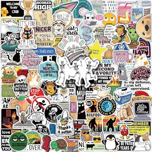 EDLMKM 150 Pcs Cool Stickers Waterprof Vinyl for Children Adults Teens, Graffiti and Funny Stickers Pack for Scrapbook, Water Bottles, Laptops, Journal, Skateboard, Phone, Guitar, Motorcycle (Random)
