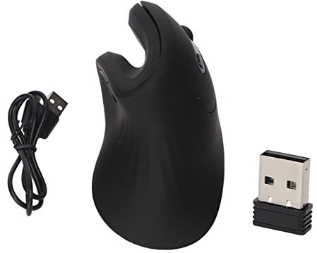 Souris Verticale, Souris sans Fil pour PC, Souris Ergonomique Rechargeable sans Fil à Haute sensibilité, pour PC Portable