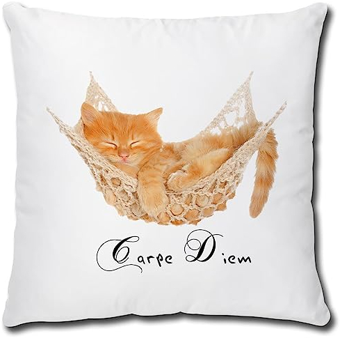 TRIOSK Kissen mit Katze Katzenmotiv Carpe Diem Spruch lustig Katzen Geschenk für Katzenliebhaber Frauen Freundin Mädchen Dekokissen 40x40