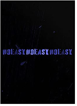Stray Kids SKZ: NOEASY (B TYPE) 2. Album CD-R + Einheit gefaltetes Poster + doppelseitige Fotokarte + Fotokarten + Fotobuch + Aufkleber + Songtext Buch