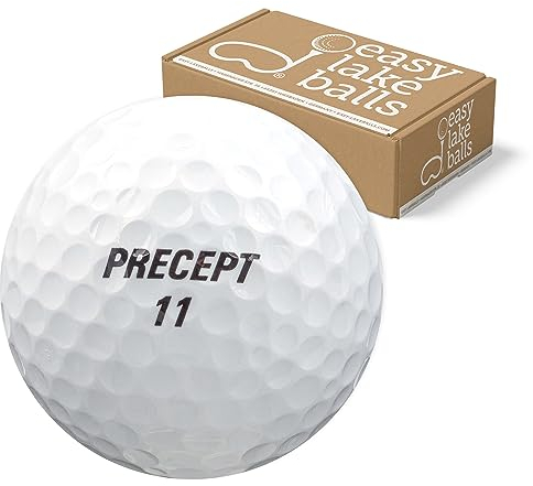 Precept 25 Mix LAKEBALLS/GOLFBÄLLE - QUALITÄT AAAA/AAA