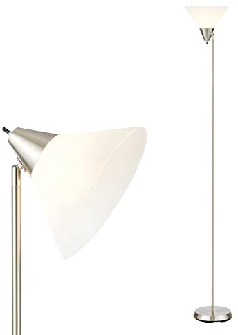 HonoDing Lampadaires Lampe de sol avec abat-jour en acrylique et tête réglable, Moderne Lampadaires pour salon/bureau/chambre à coucher (nickel satiné)