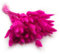 Enchanted Dekogras Getrocknetes Gras Ziergras Hasenschwänze Lagurus Ovatus Samtgras Häschen-Schwanzgras Trockenblumen Natürlich Boho 120 - 150 Stück 100 g Fuchsia