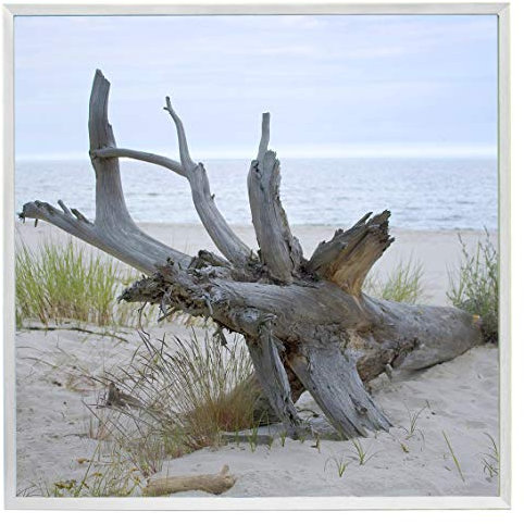 Modern Picture Magnetpinnwand Magnettafel Meer Strand mit Wurzel in Alurahmen Silber matt 40 x 40 cm
