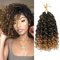 GoGo Curl Crochet Braids Hair 14 Inch 8 Packs Ocean Deep Wave Crochet Hair Extensions Synthetic Curly Crochet Hair for Black Women（1B/27）